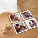 Personalised Photo Fridge Magnets - Set of 4 - Scallops - White Acrylic