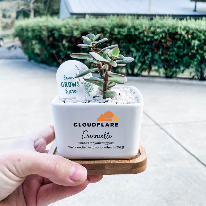succulents tasmania Personalised Succulent Garden DIY Kit - Corporate Gift