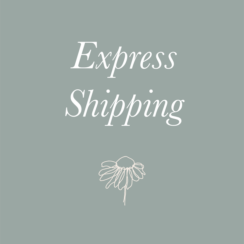 Express Shipping