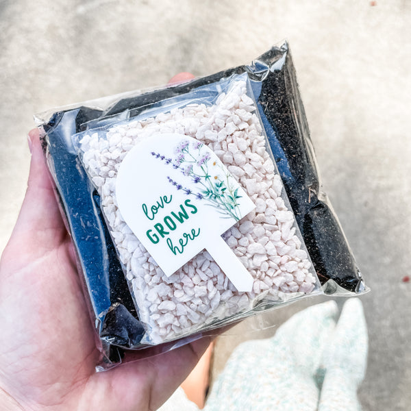 Mother's Day - Create your own succulent kit - Personalised planter pack