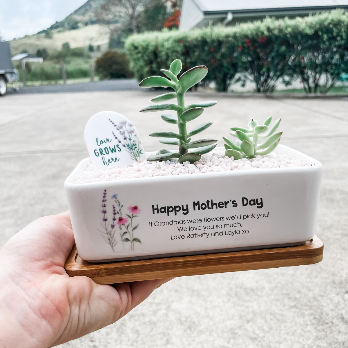 Personalised Succulent Garden DIY Kit - Mother's Day