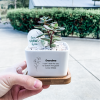 Personalised Succulent Garden DIY Kit - Square (unable to ship to WA, NT and TAS)