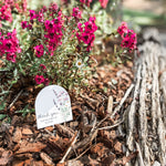 Personalised Planter Stick - Wildflowers