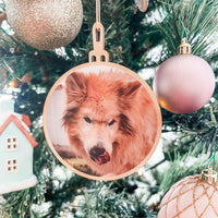 Photo Christmas Bauble - Pets