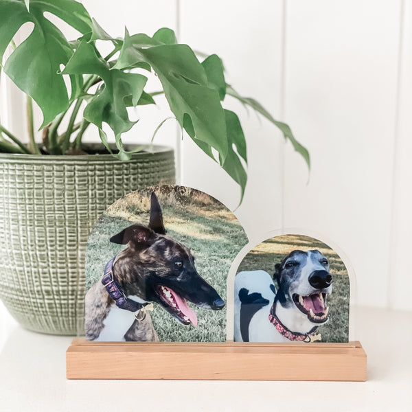 Double Arch Plaques - Photos - Pets - Clear Acrylic