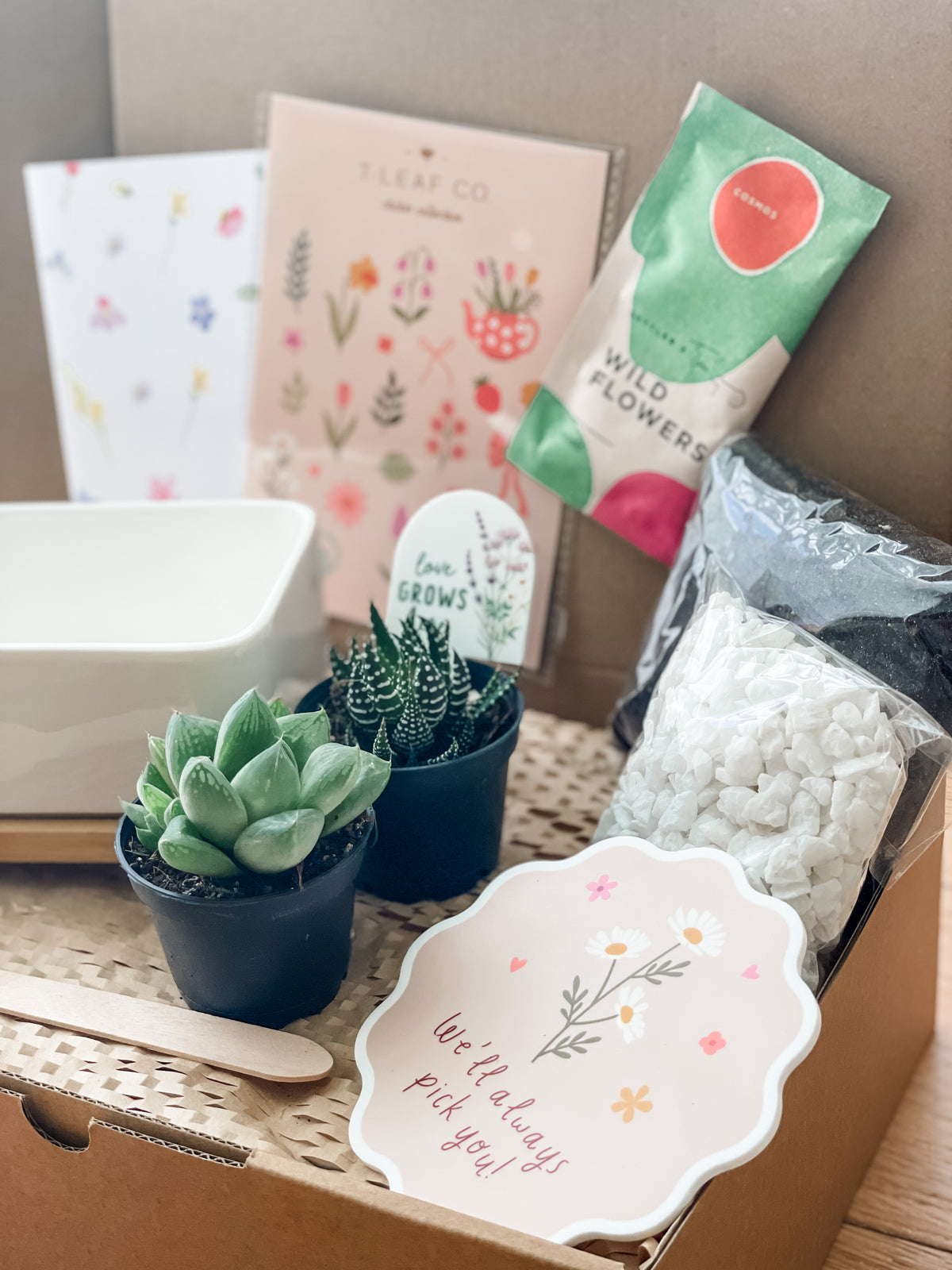 Mother’s Day ‘Love Grows Here’ DIY Gift Bundle - Rectangle Planter (unable to ship to WA, NT and TAS)