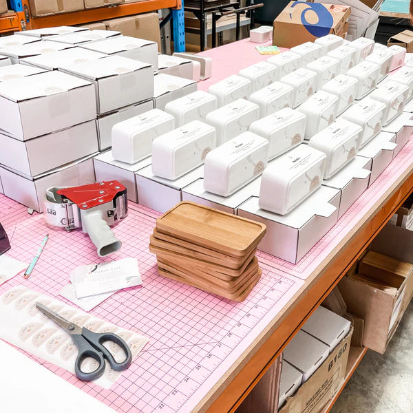 Personalised Succulent Garden DIY Kit - Corporate Gift - Rectangle (unable to ship to WA, NT and TAS)