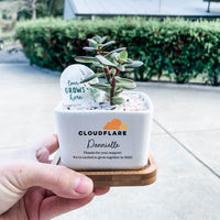 send a succulent to someone Personalised Succulent Garden DIY Kit - Corporate Gift