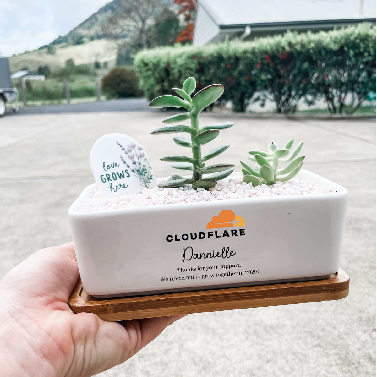 Personalised Succulent Garden DIY Kit - Corporate Gift - Rectangle (unable to ship to WA, NT and TAS)
