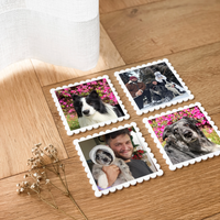 Personalised Photo Fridge Magnets - Set of 4 - Scallops - White Acrylic - Pets