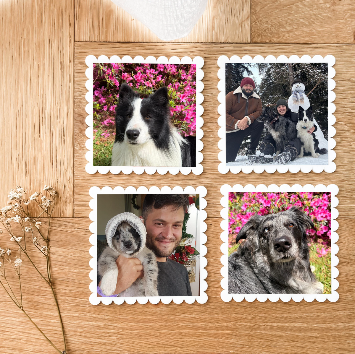 Personalised Photo Fridge Magnets - Set of 4 - Scallops - White Acrylic - Pets