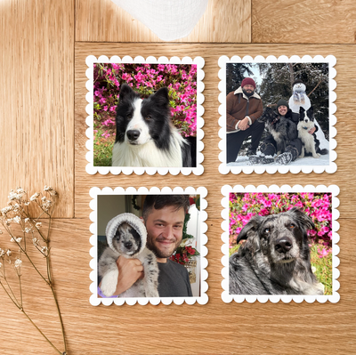 Personalised Photo Fridge Magnets - Set of 4 - Scallops - White Acrylic - Pets