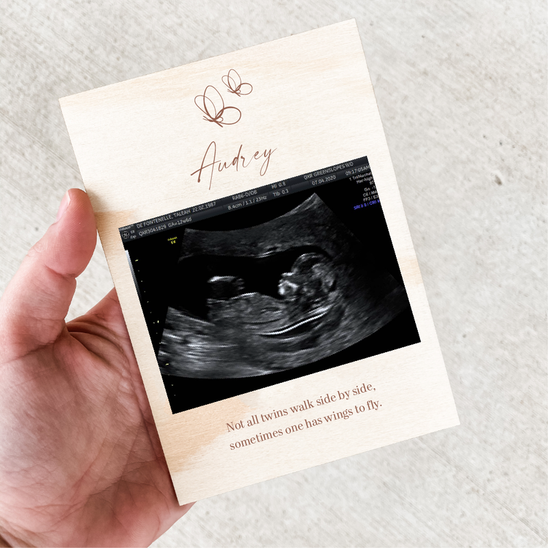 Photo Plaques - Butterflies