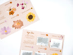 Floral Garden Seed Pack