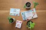 Veggie Patch Seed Pack