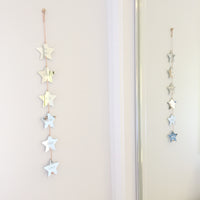 Additional Family Stars