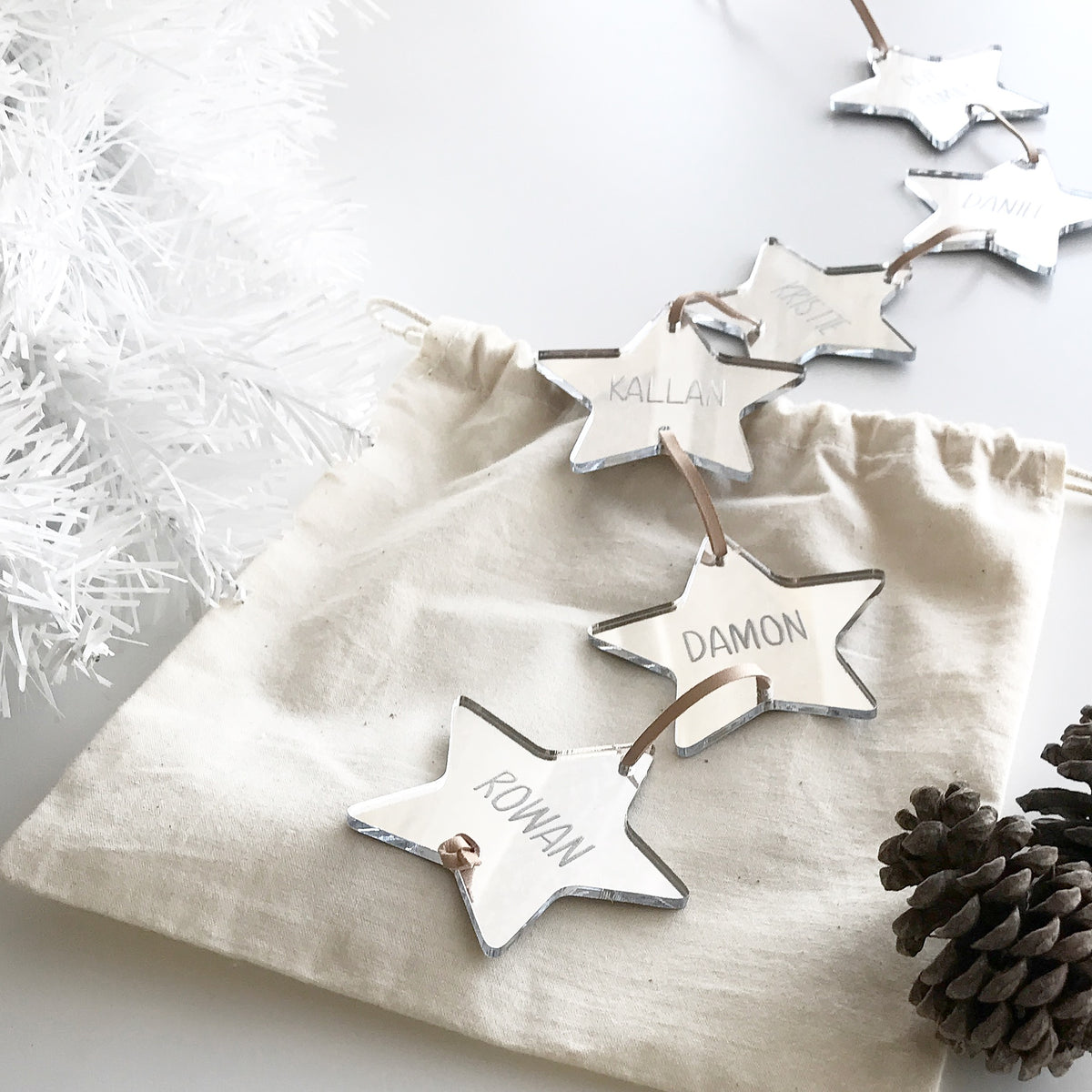 Additional Family Stars