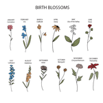 Keepsake Box - Design 27 - Birth Blossoms