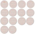 Milestone Plaques - Acrylic - Blush