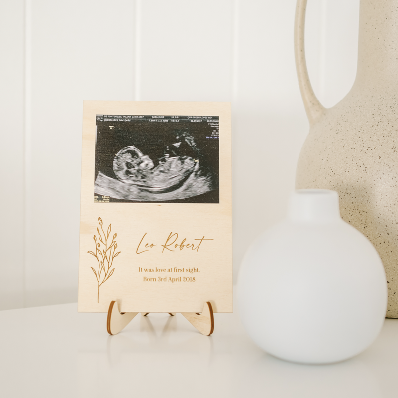 Ultrasound Photo Plaques