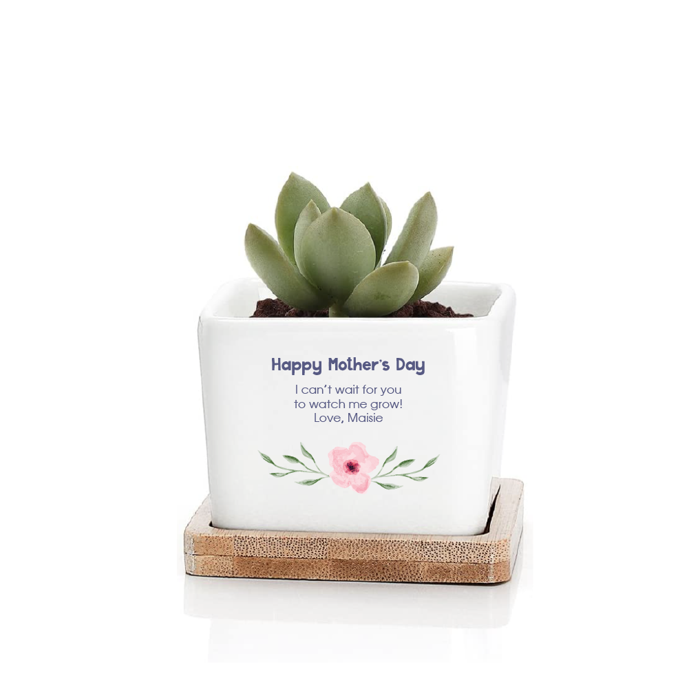 personalised ceramic planter pot - Square