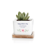 personalised ceramic planter pot - Square