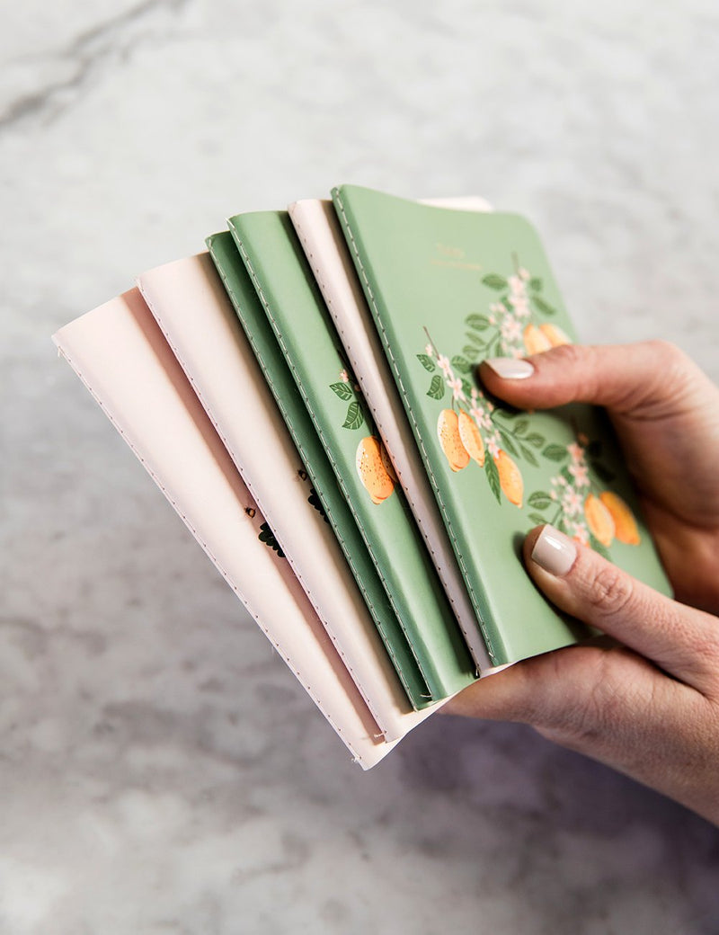 A6 Fruit Notebooks - 2 Pack