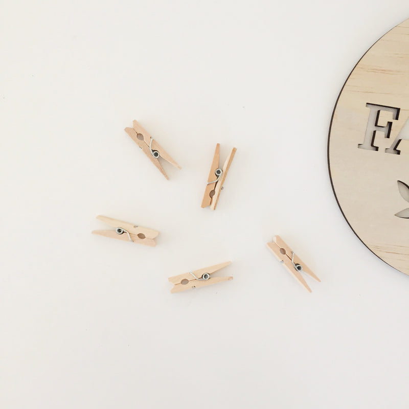 Mini Pegs